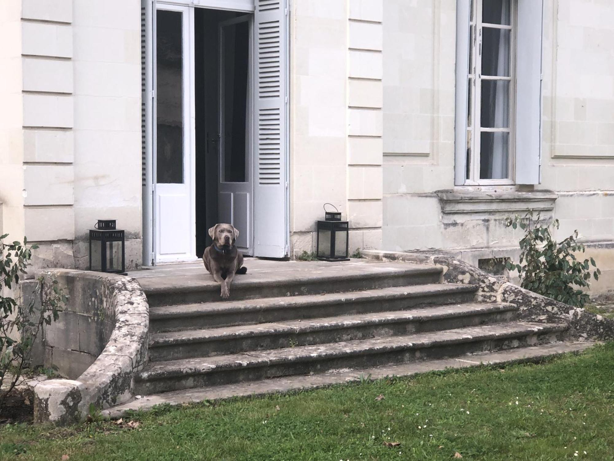 La Grande Carree Bed and Breakfast Saint-Cyr-sur-Loire Εξωτερικό φωτογραφία